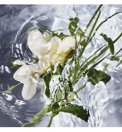 Aqua Allegoria Herba Fresca - Eau de Toilette Aqua Allegoria Herba Fresca - Eau de Toilette